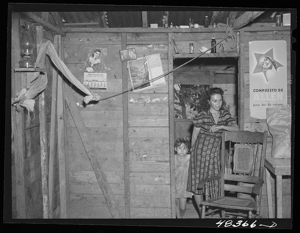 Rio Piedras (vicinity), Puerto Rico. The home of a FSA (Farm Security Administration) borrower. Sourced from the Library of…