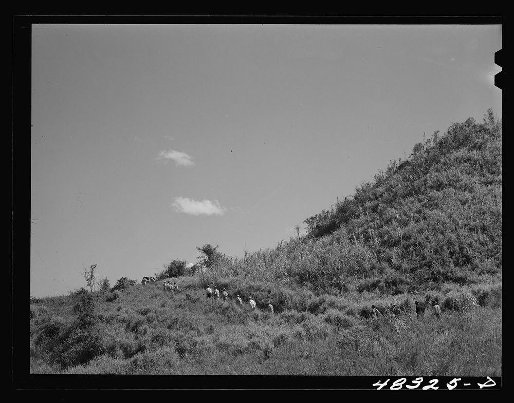 [Untitled photo, possibly related to: Barranquitas (vicinity), Puerto Rico. Mountains]. Sourced from the Library of Congress.