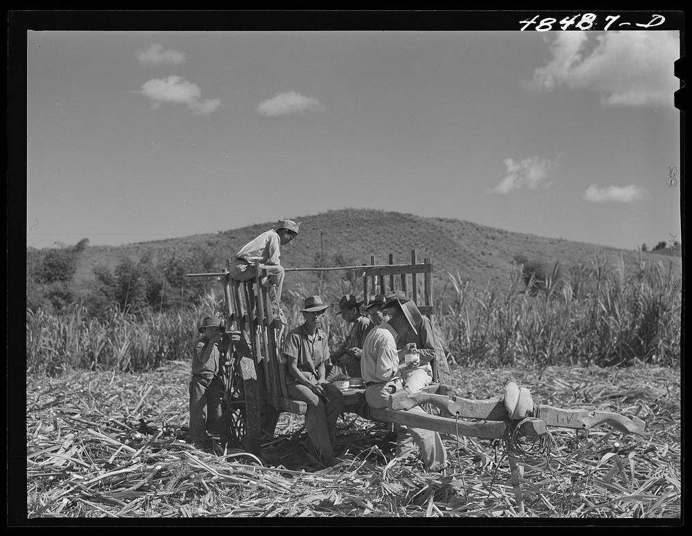 Rio Piedras (vicinity), Puerto Rico. Sugar cane workers resting during lunch hour. Sourced from the Library of Congress.