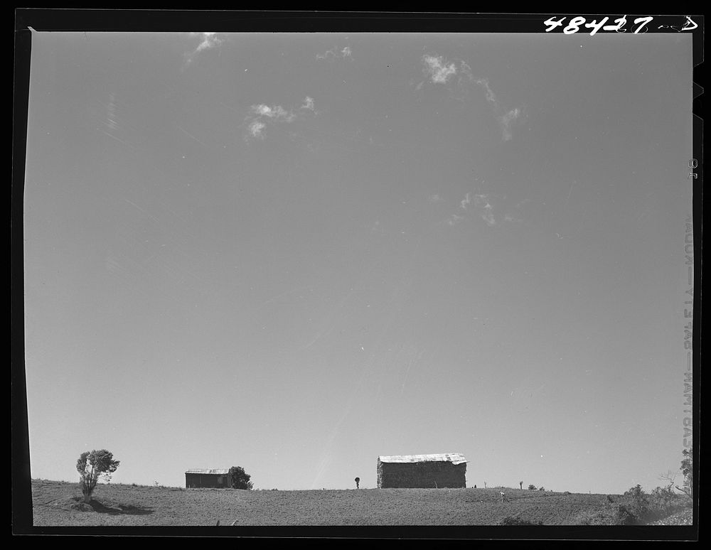 Barranquitas (vicinity), Puerto Rico. A farm. Sourced from the Library of Congress.