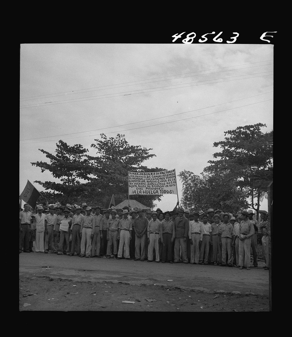 Yabucoa, Puerto Rico. Strikers on the picket line at a sugar mill. Sourced from the Library of Congress.
