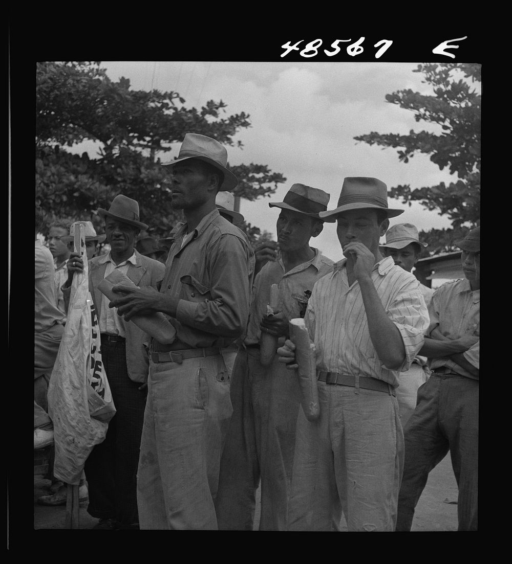 [Untitled photo, possibly related to: Yabucoa, Puerto Rico. Strikers on the picket line at a sugar mill]. Sourced from the…