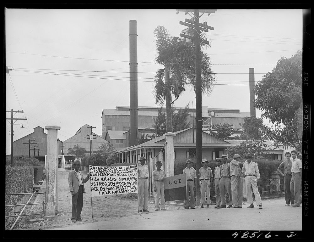 Yabucoa, Puerto Rico. Sugar workers on a strike at a mill. Sourced from the Library of Congress.