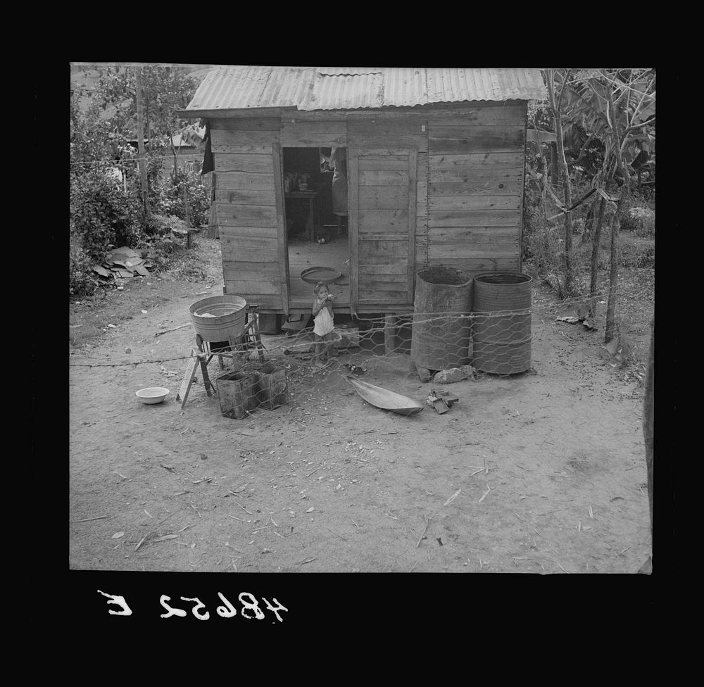 [Untitled photo, possibly related to: Bayamon, Puerto Rico. Children in a backyard]. Sourced from the Library of Congress.