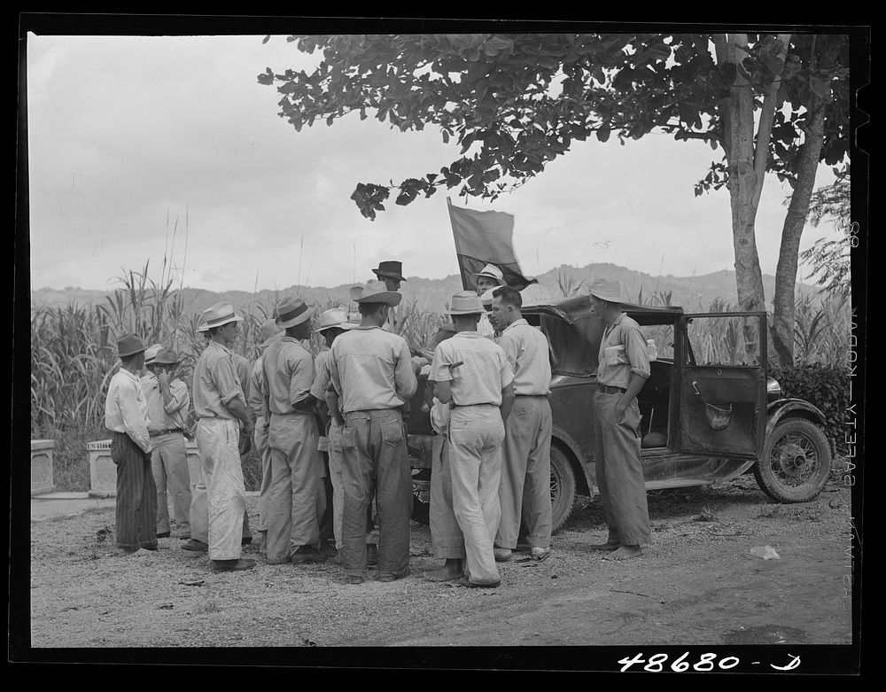 [Untitled photo, possibly related to: Yabucoa, Puerto Rico. Sugar strikers picketing a sugar plantation]. Sourced from the…