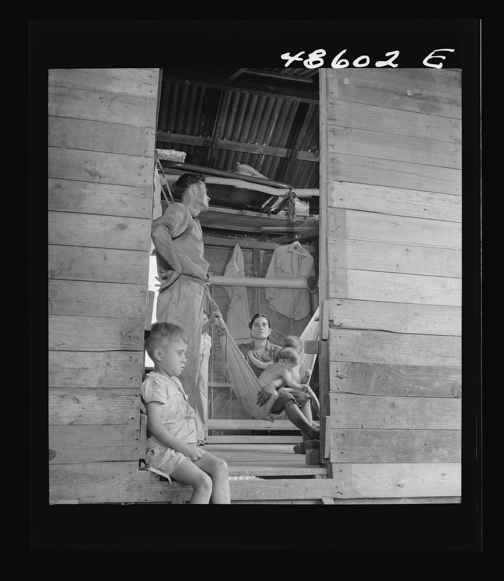 [Untitled possibly related to: Caguas, Puerto Rico (vicinity). A borrower and his family]. Sourced from the Library of…