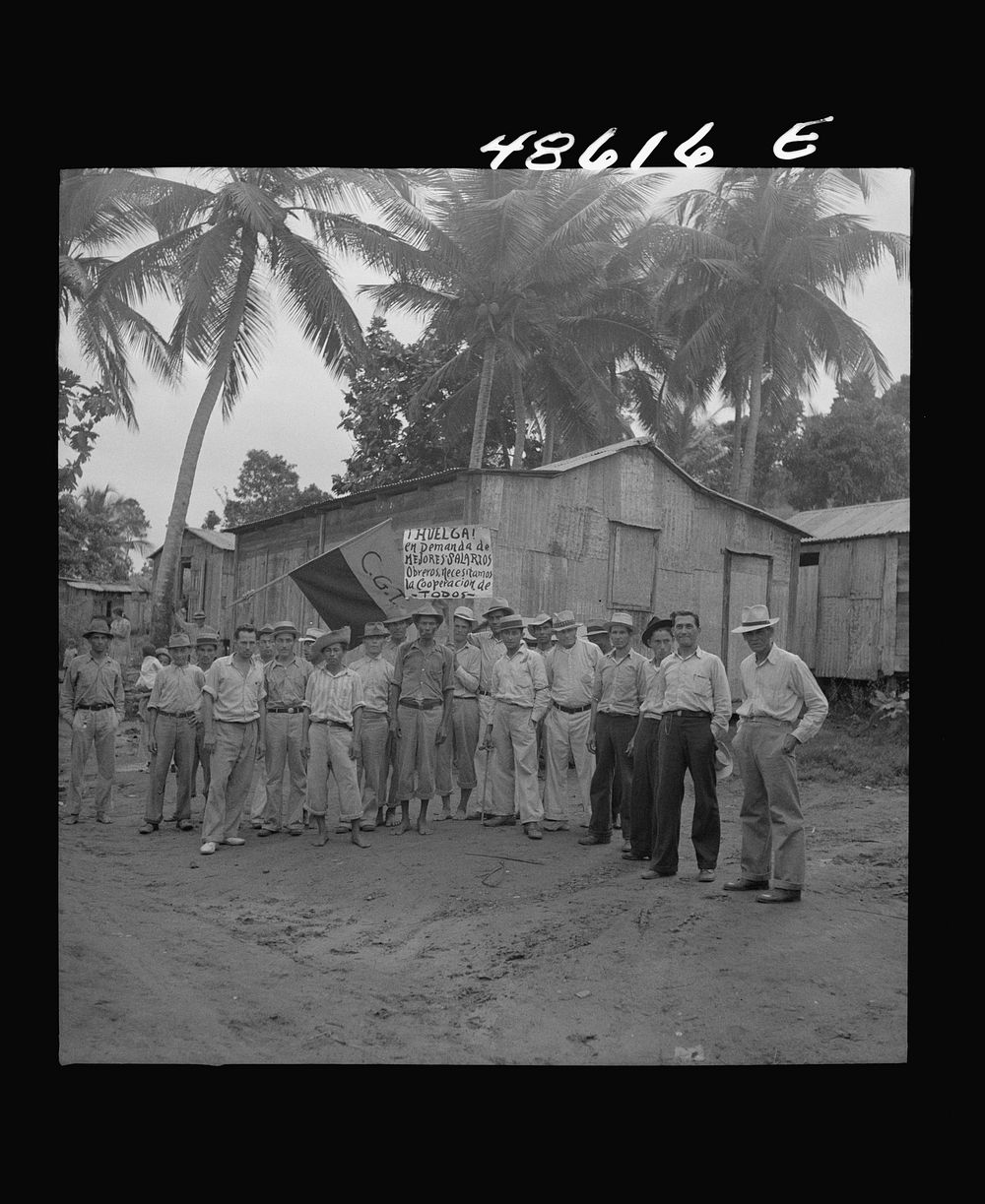 Yabucoa, Puerto Rico. Strikers picketing a sugar plantation. Sourced from the Library of Congress.