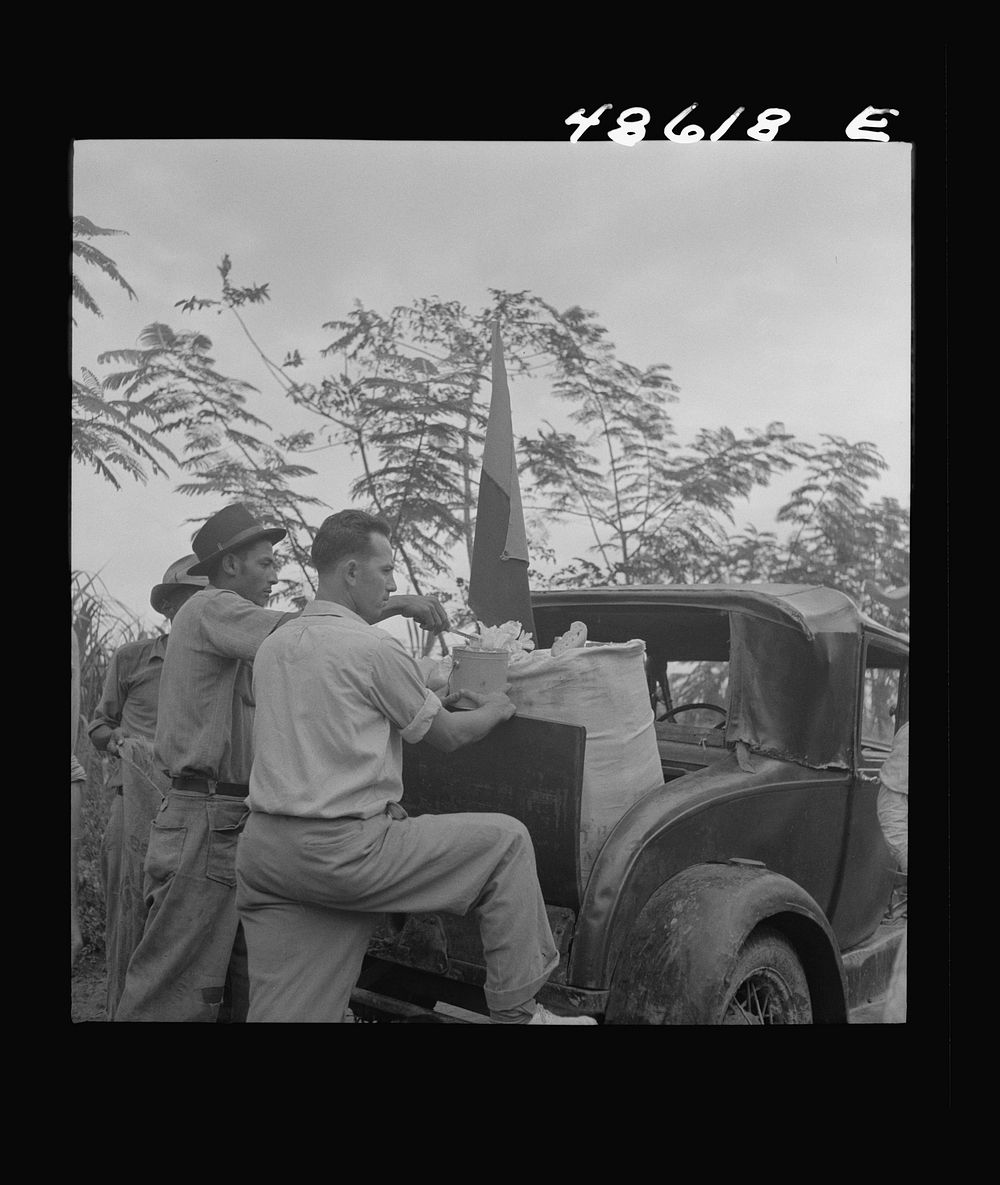 [Untitled photo, possibly related to: Yabucoa, Puerto Rico. Car bringing lunch to pickets against the management of a sugar…