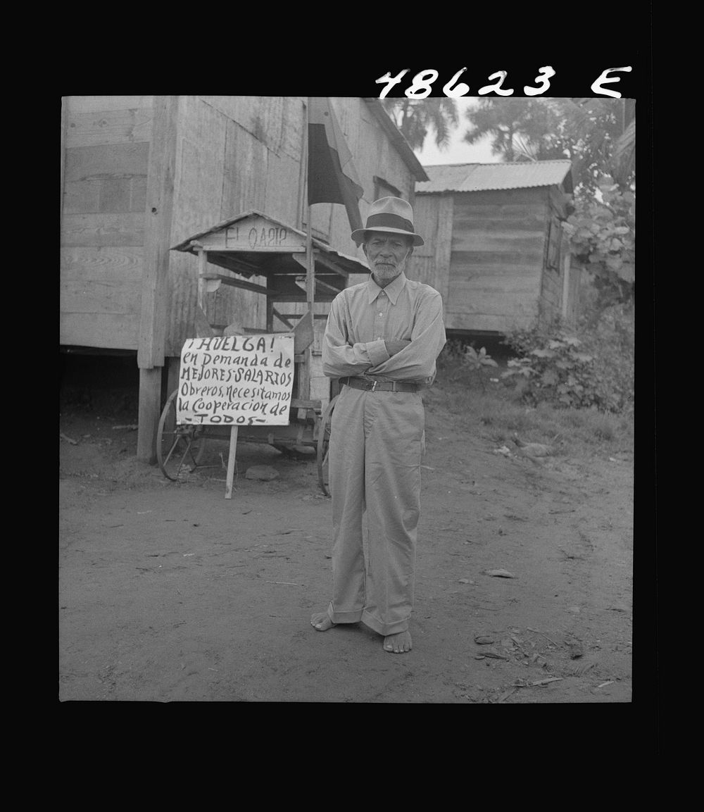 [Untitled photo, possibly related to: Yabucoa, Puerto Rico. Old man on strike against the management of a sugar plantation].…
