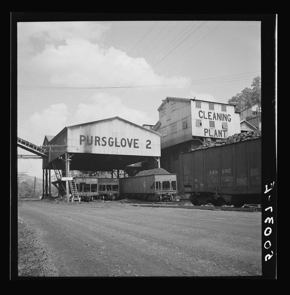 [Untitled photo, possibly related to: Company houses, coal mining section. Pursglove, Scotts Run, West Virginia]. Sourced…