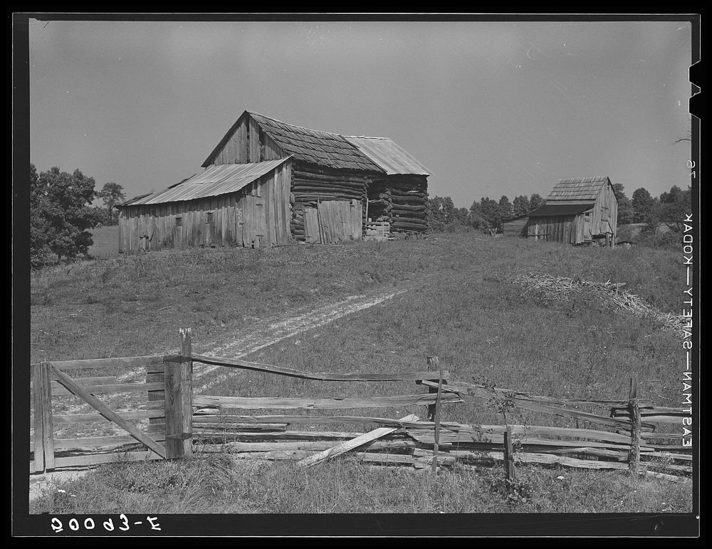 Farmyard and barns on highway between Elkins and Morgantown, West Virginia. Sourced from the Library of Congress.
