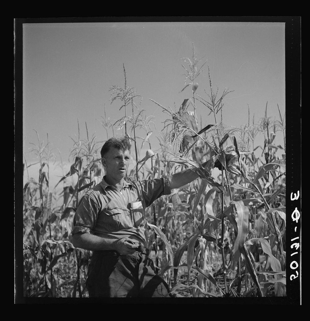 Coal miner, now unemployed, town philosopher, experiments with garden. Jere, West Virginia. Says, "Jes so long as I sees…