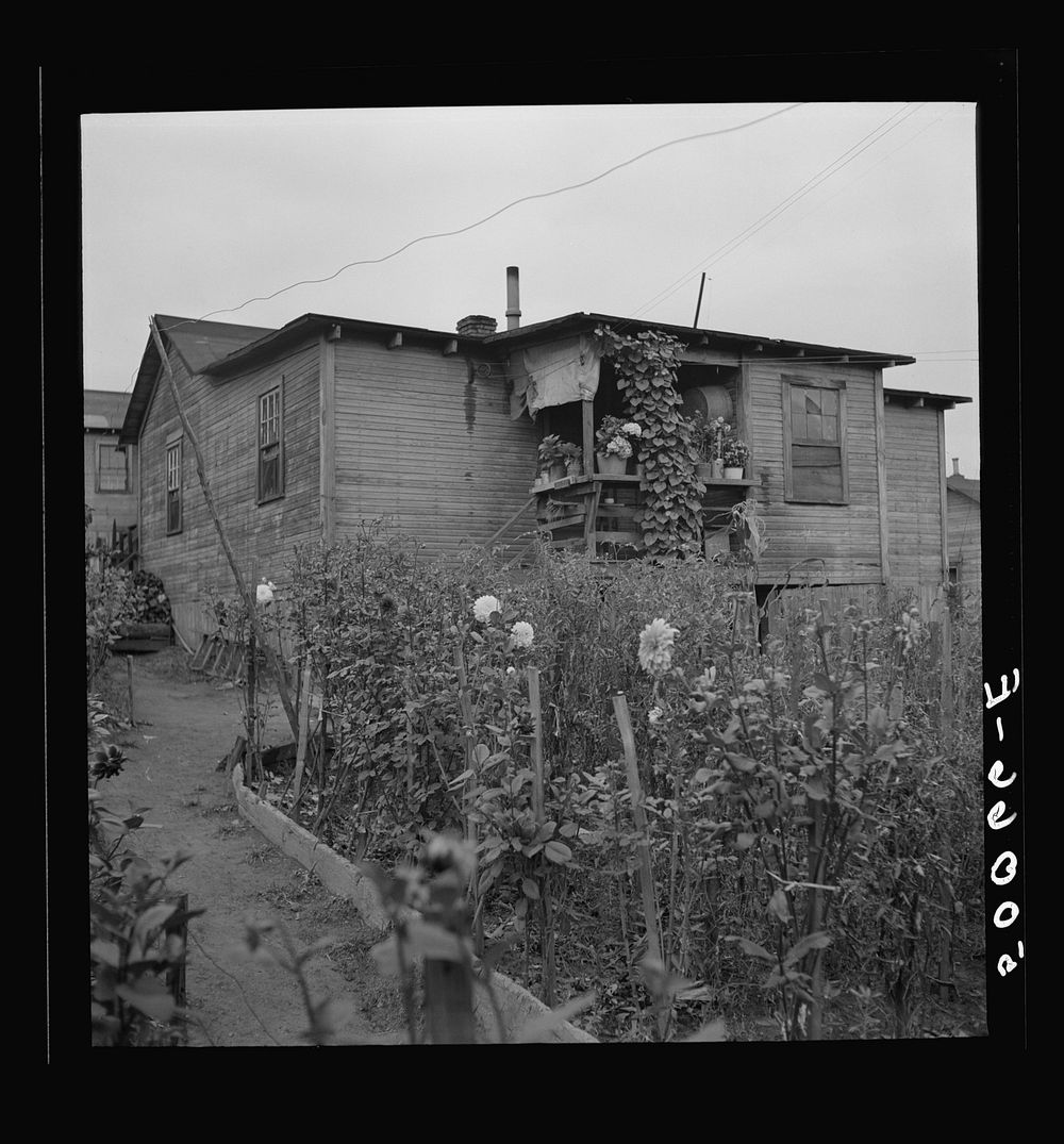 Rear of coal miner's home (Hungarians usually have nice gardens and canned goods). Chaplin, West Virginia. Sourced from the…