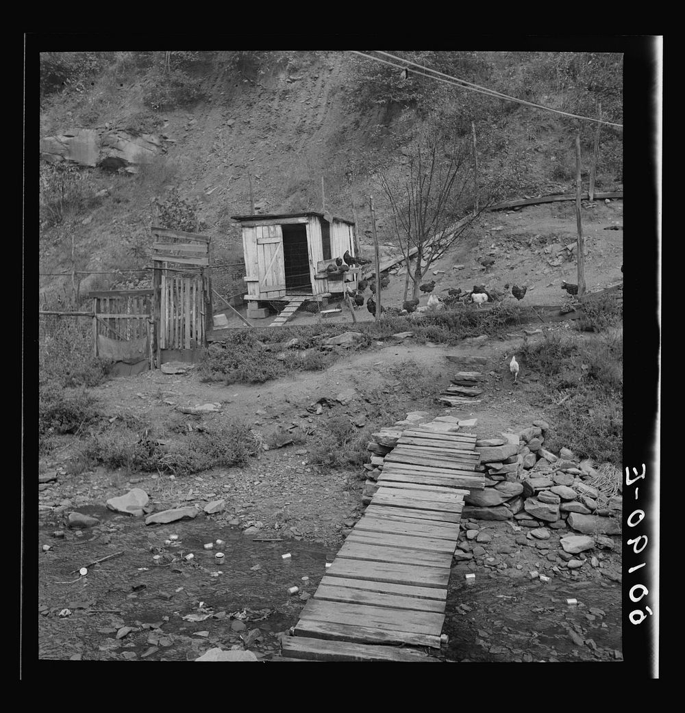 Backyard of miner's home near Bluefield, West Virginia. Sourced from the Library of Congress.