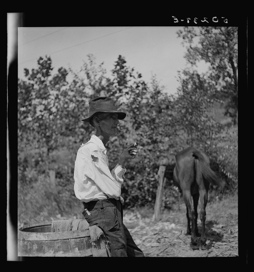 [Untitled photo, possibly related to: Neighbor watching the process of making molasses. Racine, West Virginia]. Sourced from…