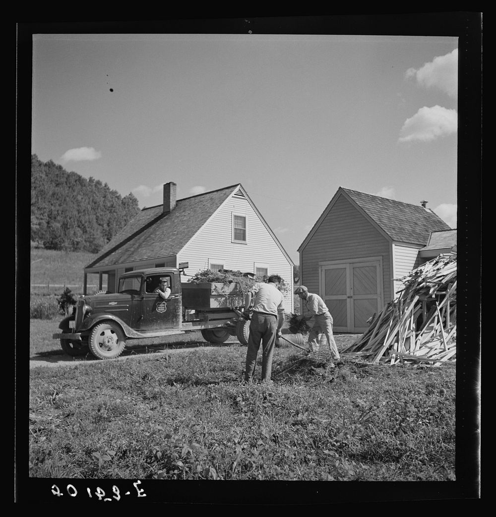 Waste material and rubbish are taken away by community trucks several times weekly. Tygart Valley, West Virginia. Sourced…