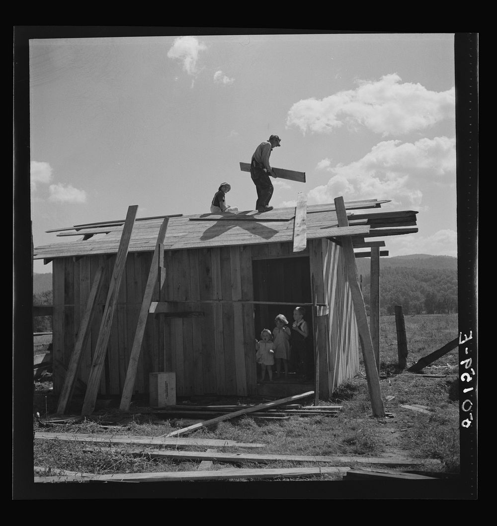 Armesteader and his family building a new shed for their calf. Tygart Valley, West Virginia. Sourced from the Library of…