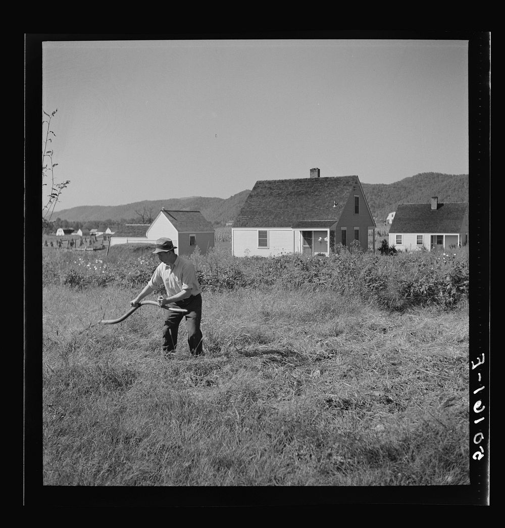 Schoolteacher taking care of his front yard on Saturday. Tygart Valley homesteads, West Virginia. Sourced from the Library…