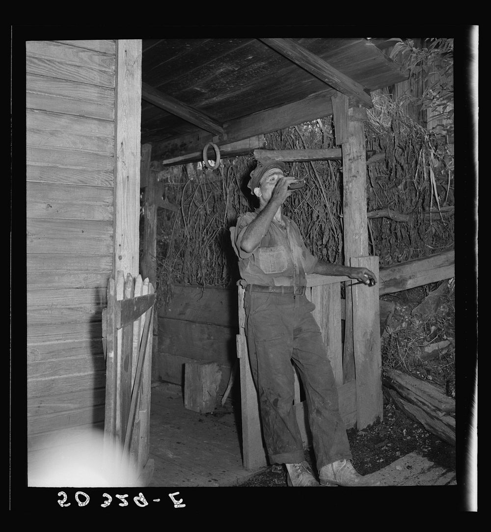 Coal miner (Italian) takes a drink of wine in front of his home after coming home from work late in the afternoon. "The…
