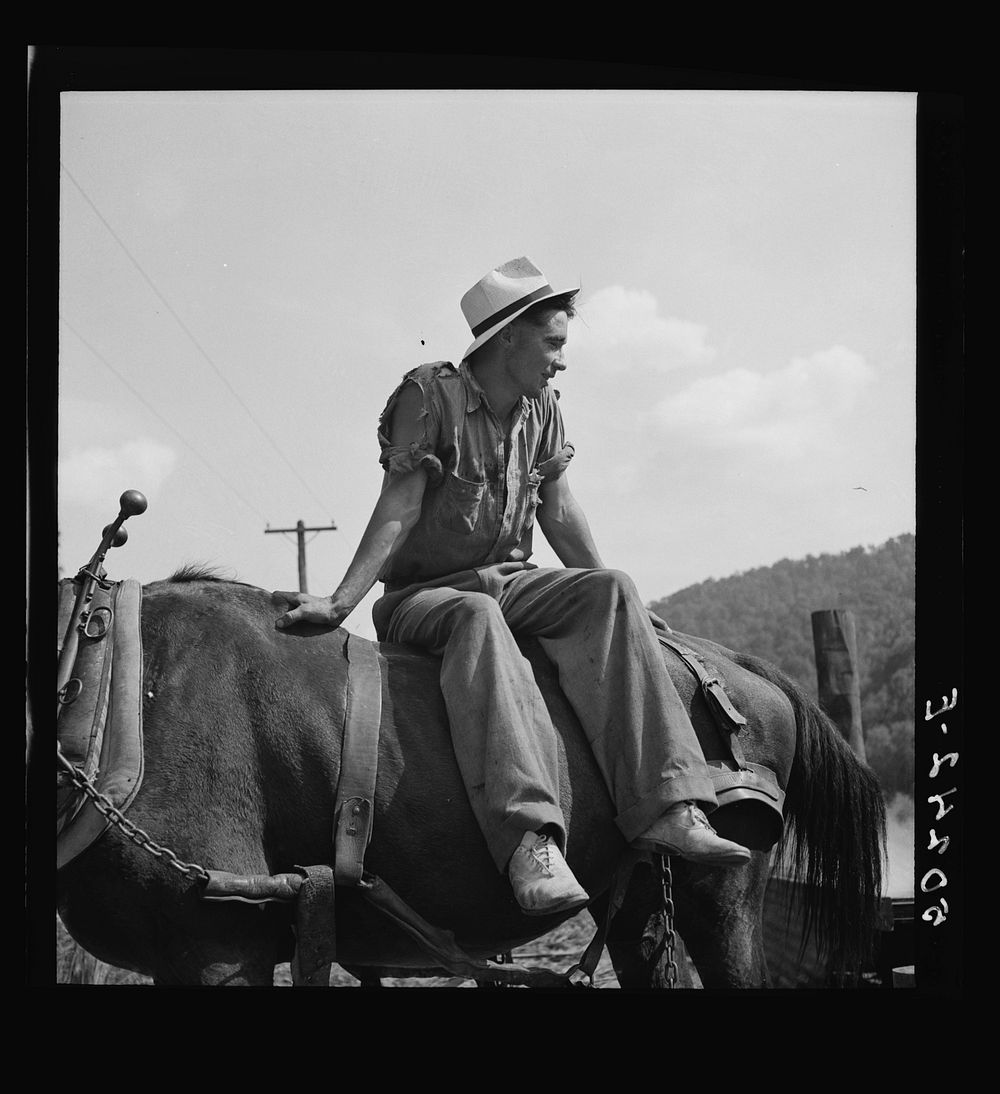 Farmer's son who helps make the molasses from sugarcane. Racine, West Virginia. Sourced from the Library of Congress.