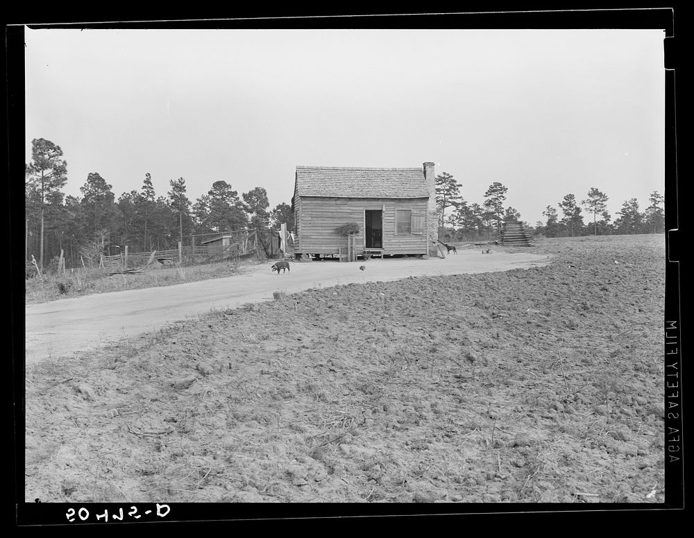 Clean and well-kept  shack near Columbia, South Carolina (Monticello Road). Sourced from the Library of Congress.