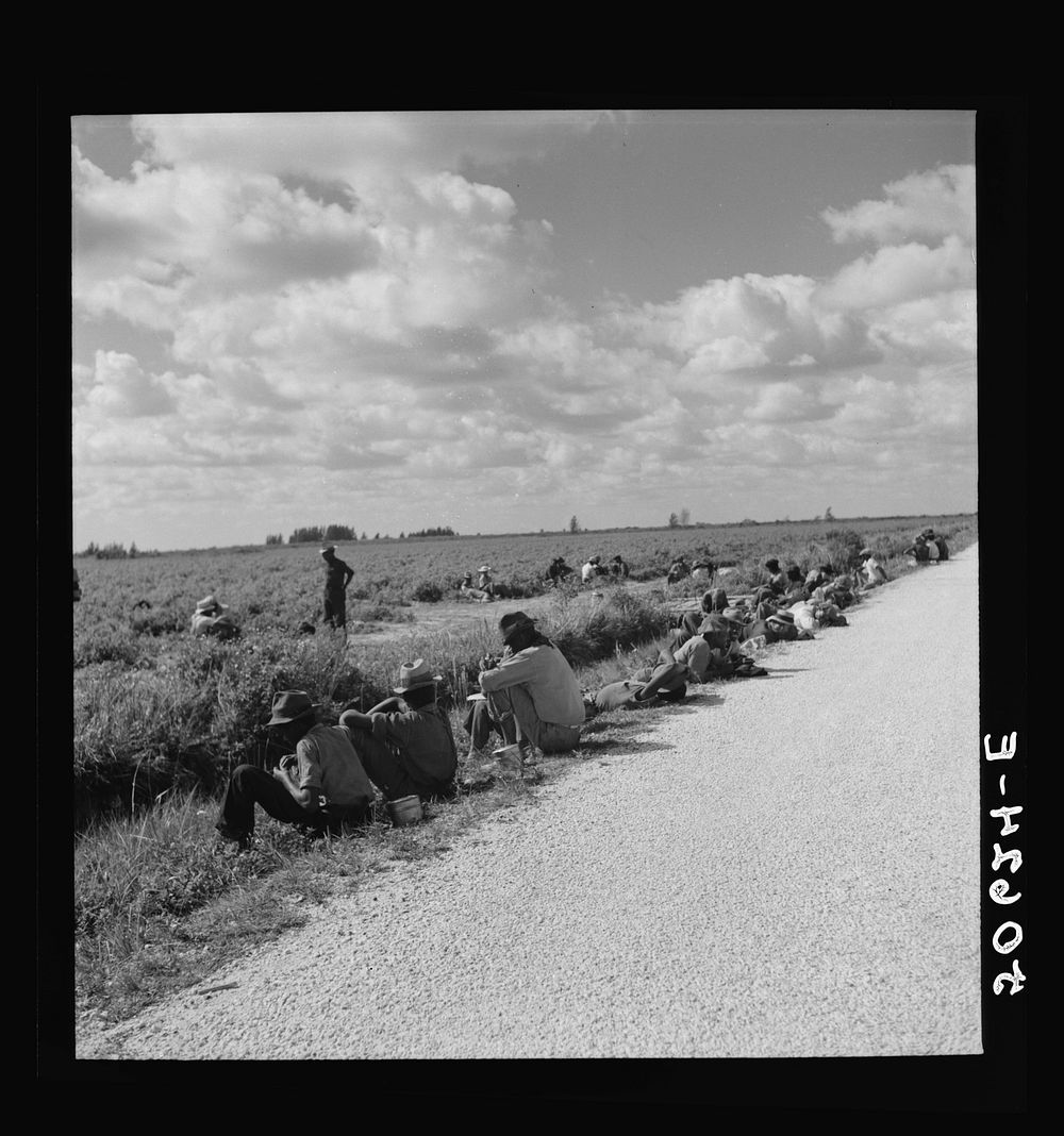 Lunch hour for  tomato pickers. Homestead, Florida. Sourced from the Library of Congress.