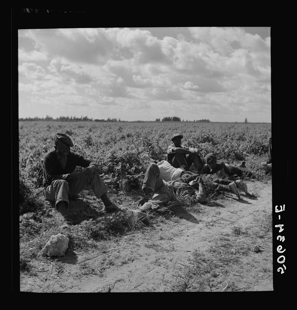 [Untitled photo, possibly related to: Lunch hour for  tomato pickers. Homestead, Florida]. Sourced from the Library of…