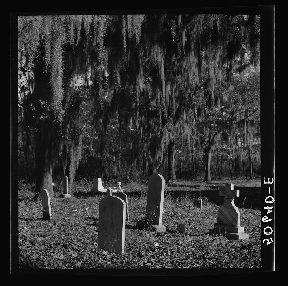 Graveyard in rear of church near Summerville, South Carolina. Sourced from the Library of Congress.