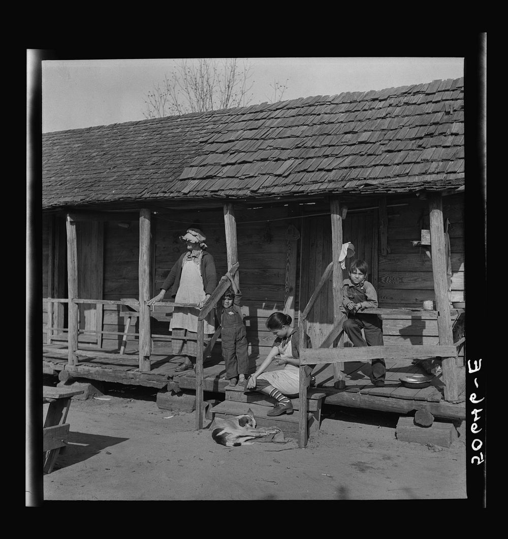 [Untitled photo, possibly related to: Rear of 's home near Beaufort, South Carolina]. Sourced from the Library of Congress.