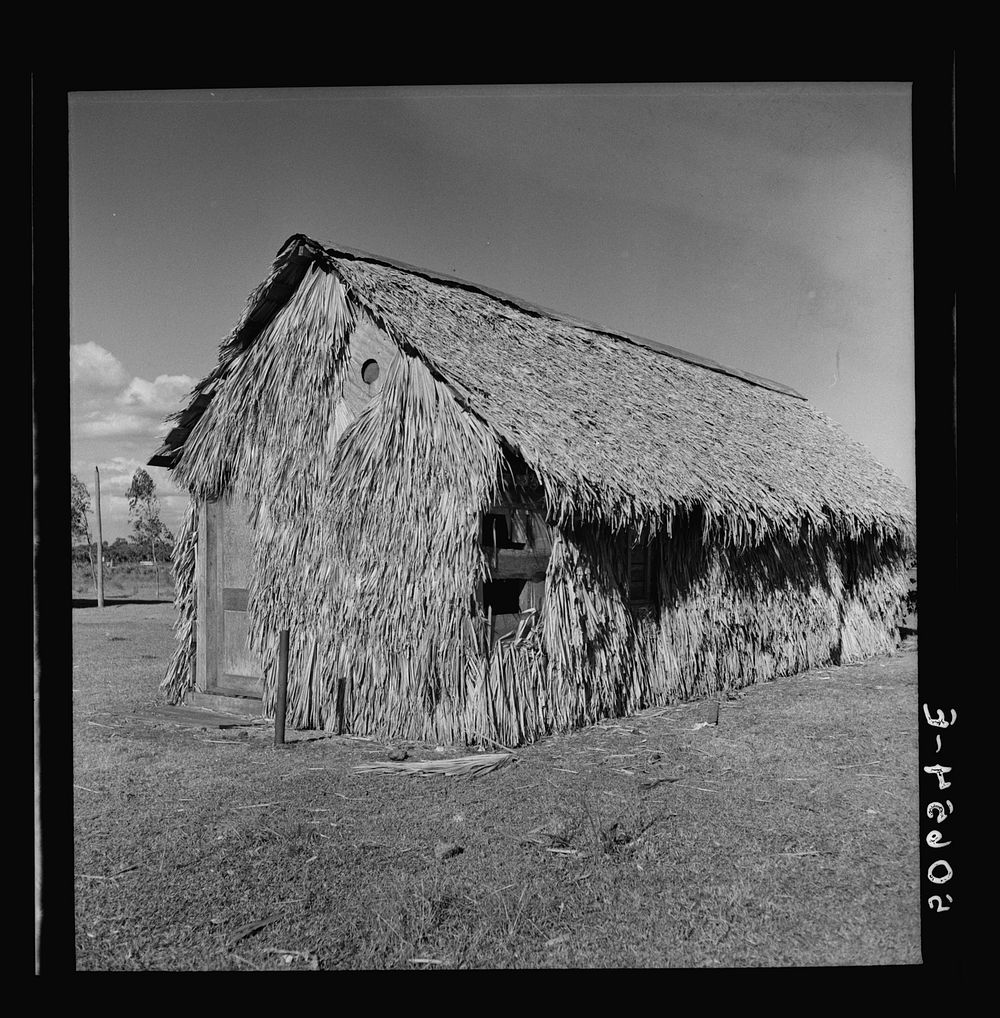 [Untitled photo, possibly related to: Front of thatched house made of palm leaves near Moore Haven, Florida]. Sourced from…