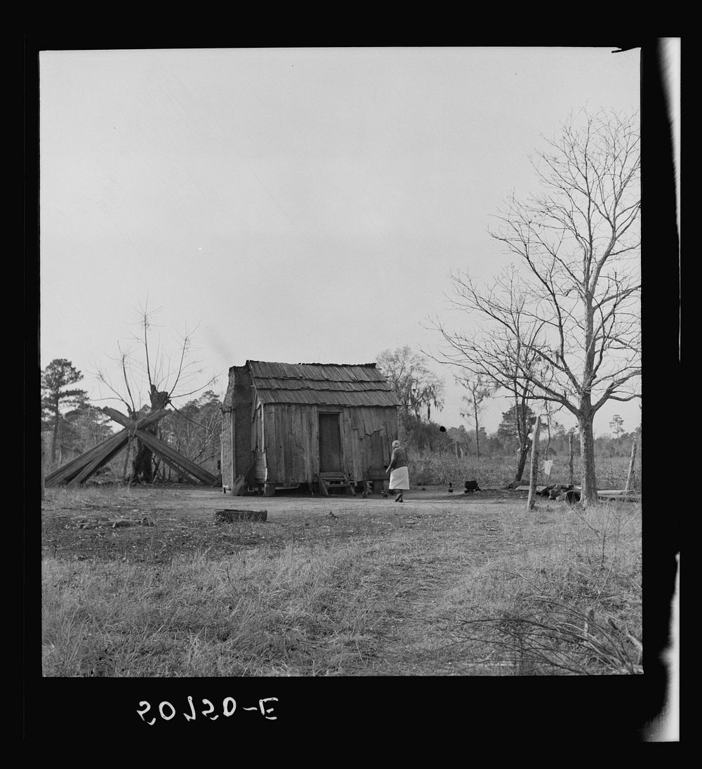 [Untitled photo, possibly related to: Old  man, who was dying, lived in this shack alone near Beaufort, South Carolina].…