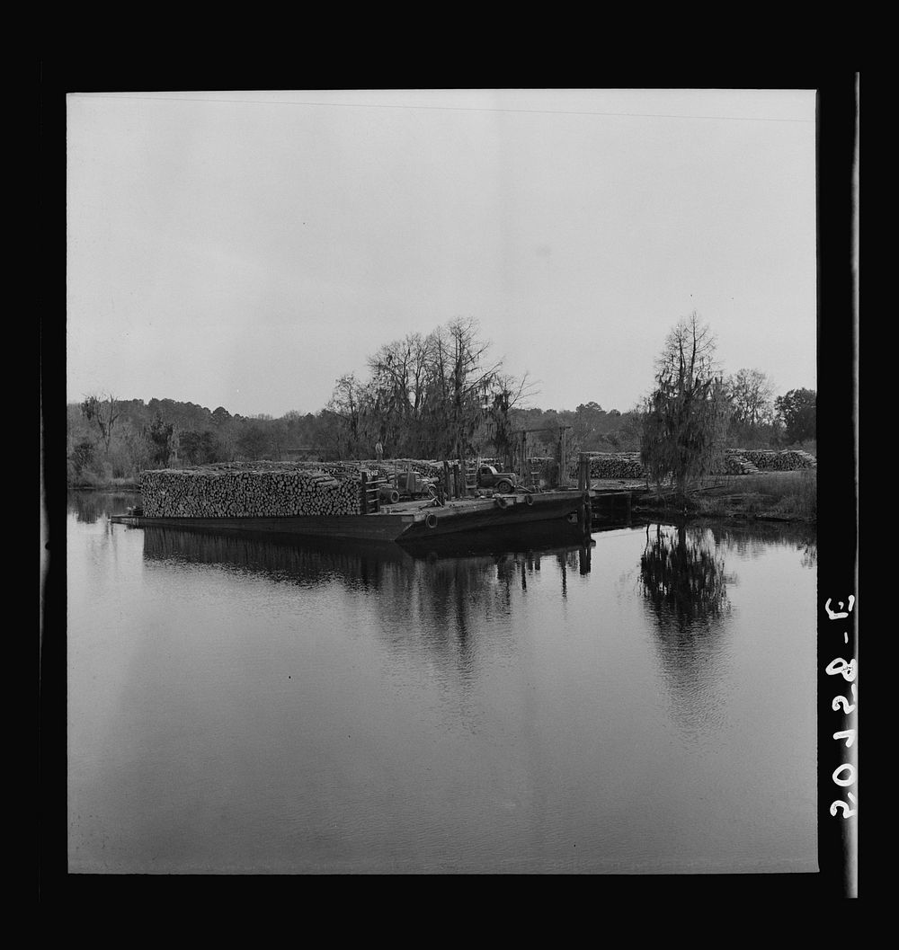 [Untitled photo, possibly related to: Stacks of lumber at sawmill. Ashepoo, South Carolina]. Sourced from the Library of…