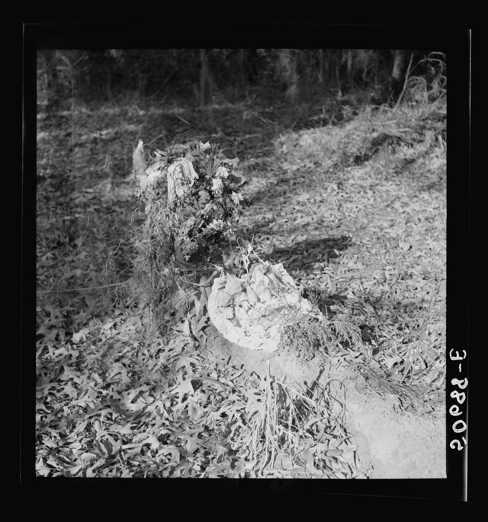 [Untitled photo, possibly related to: Graveyard in rear of church. Summerville, South Carolina]. Sourced from the Library of…