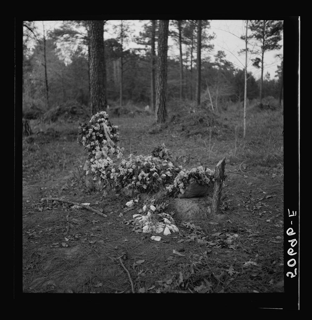 [Untitled photo, possibly related to: Graveyard in rear of church. Summerville, South Carolina]. Sourced from the Library of…