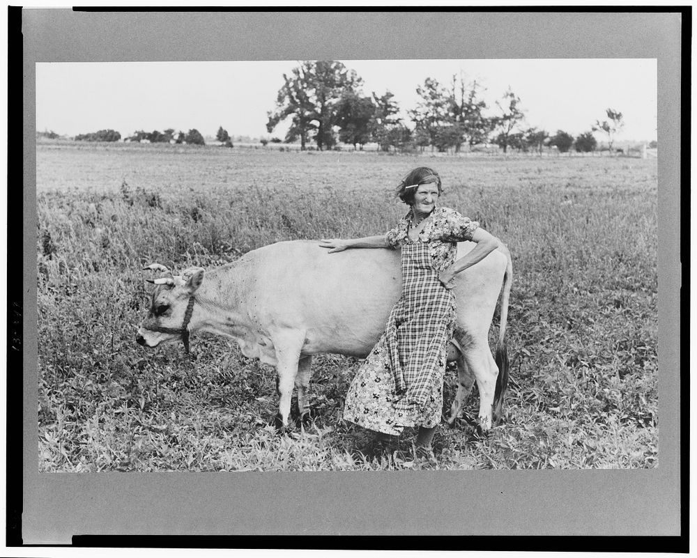Farmer's wife with cow, Southeast Missouri Farms by Russell Lee