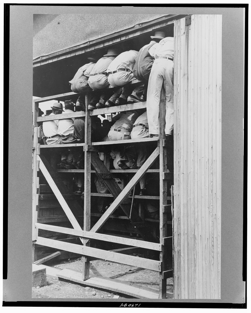 Spectators cattle auction, Sikeston, Missouri Free Photo rawpixel