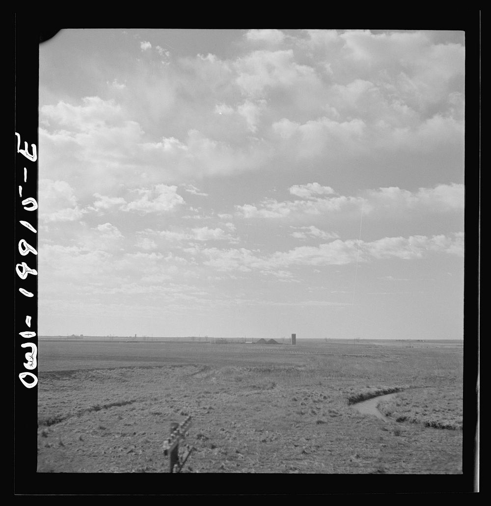 [Untitled photo, possibly related to: Tangier, Oklahoma. Scrub lands along the Atchison, Topeka, and Santa Fe Railroad].…