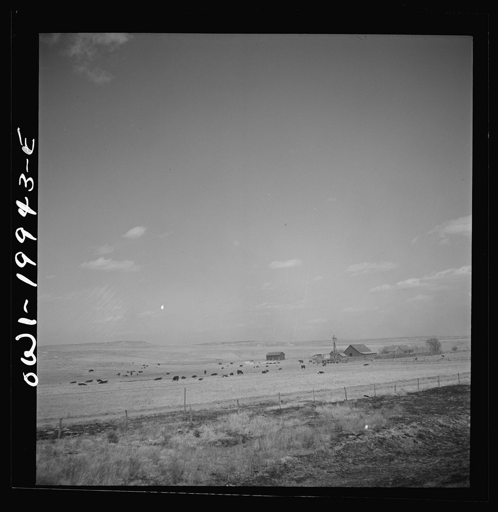 [Untitled photo, possibly related to: Codman, Texas. Cattle ranch along the Atchison, Topeka, and Santa Fe Railroad].…