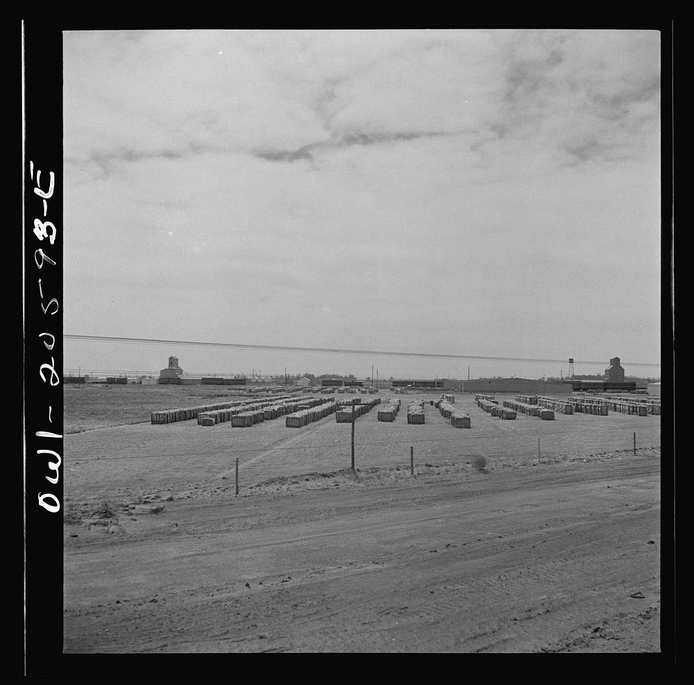 Farwell, Texas. Bales of cotton at a warehouse and gin along the Atchison, Topeka and Santa Fe Railroad between Amarillo…