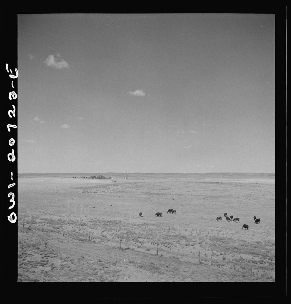 Encino, New Mexico. Sheep and cattle ranch along the Atchison, Topeka and Sata Fe Railroad between Vaughn and Belen, New…