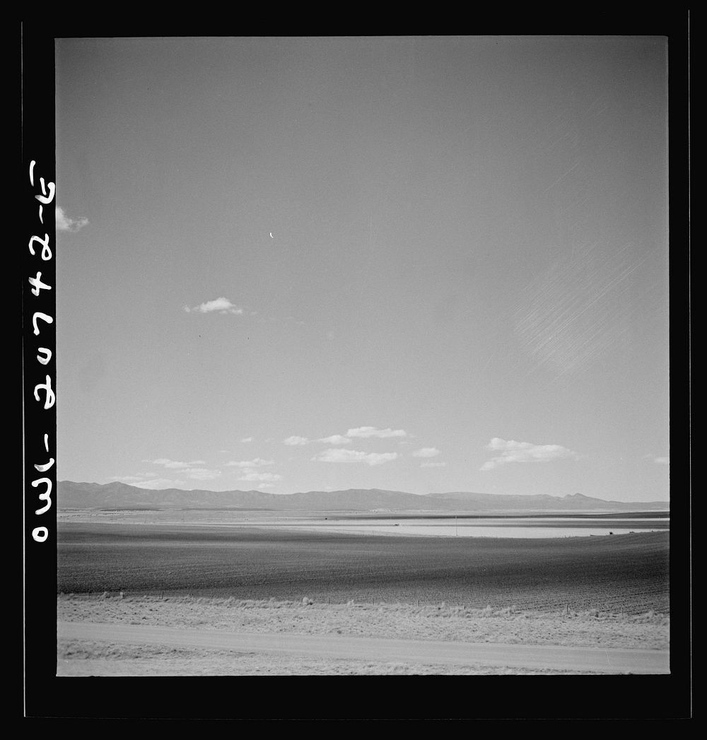 Mountainair, New Mexico. A cultivated field along the Atchison, Topeka and Santa Fe Railroad between Vaughn and Belen, New…