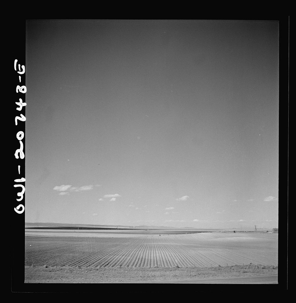 Mountainair, New Mexico. A cultivated field along the Atchison, Topeka and Santa Fe Railroad between Vaughn and Belen, New…