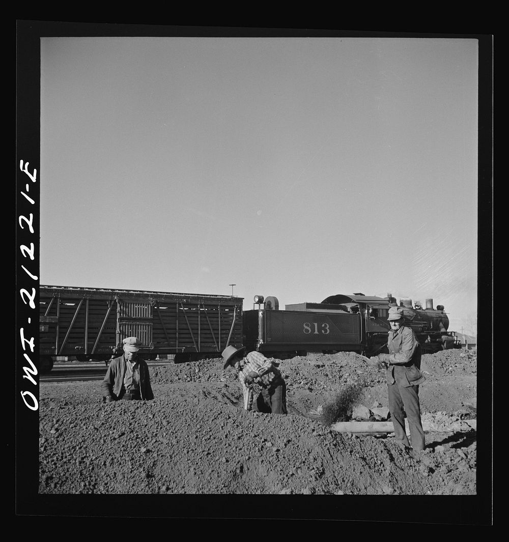 Winslow, Arizona. Indian laborers at work in the Atchison, Topeka and Santa Fe Railroad yard. Sourced from the Library of…