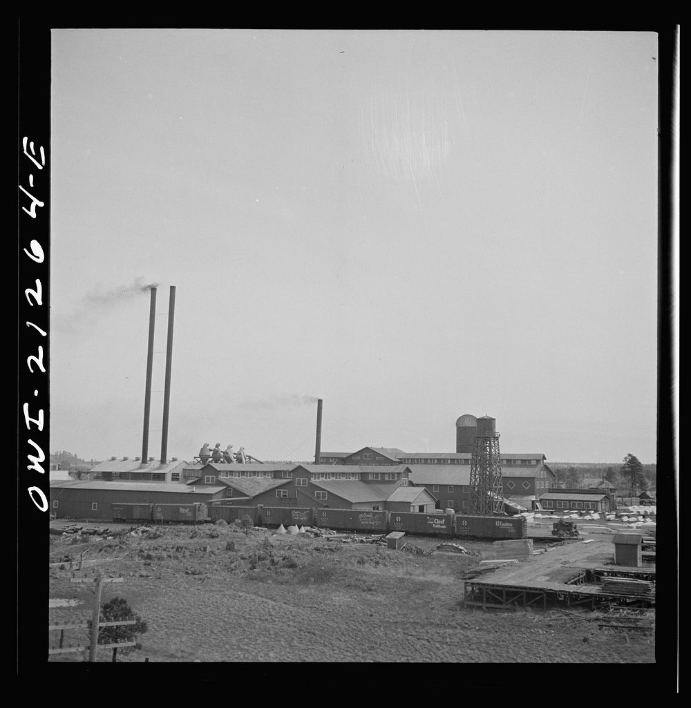 Flagstaff, Arizona. Passing a lumber mill along the Atchison, Topeka, and Santa Fe Railroad between Winslow and Seligman…
