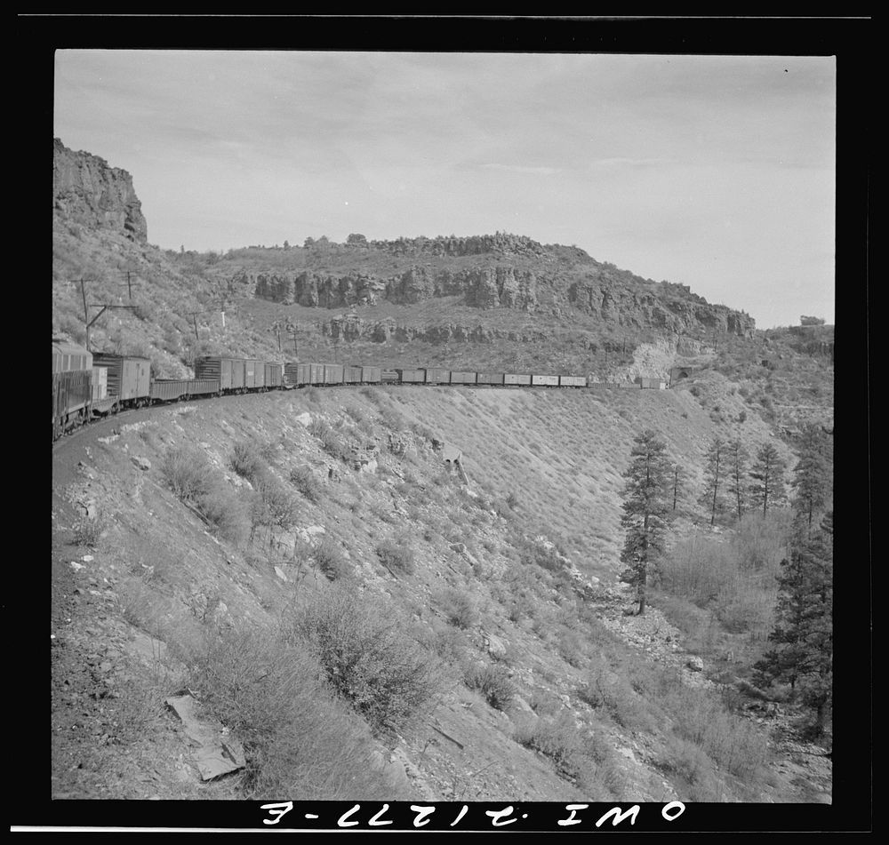 Williams (vicinity), Arizona. A train on the Atchison, Topeka and Santa Fe Railroad between Winslow and Seligman, Arizona…