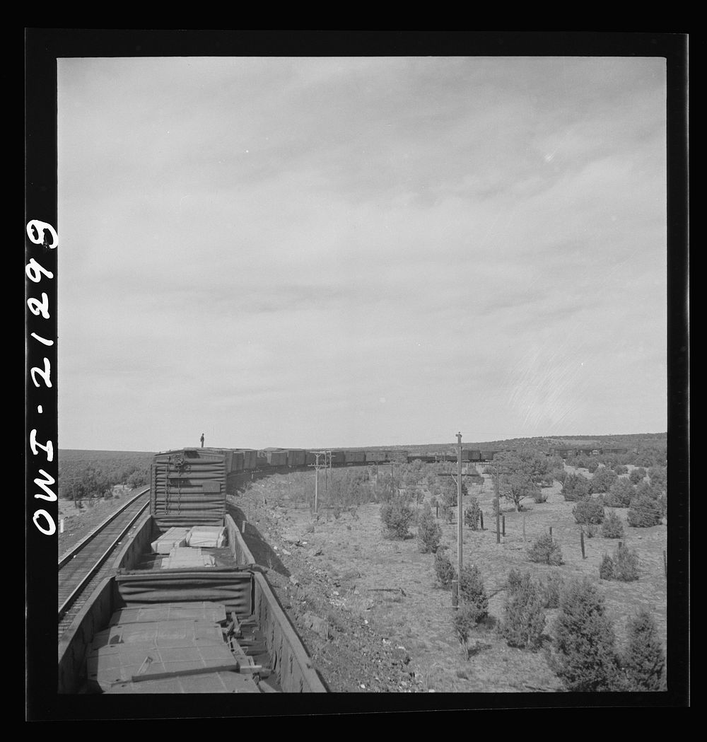[Untitled photo, possibly related to: A diesel freight train on the Atchison, Topeka and Santa Fe Railroad between Winslow…