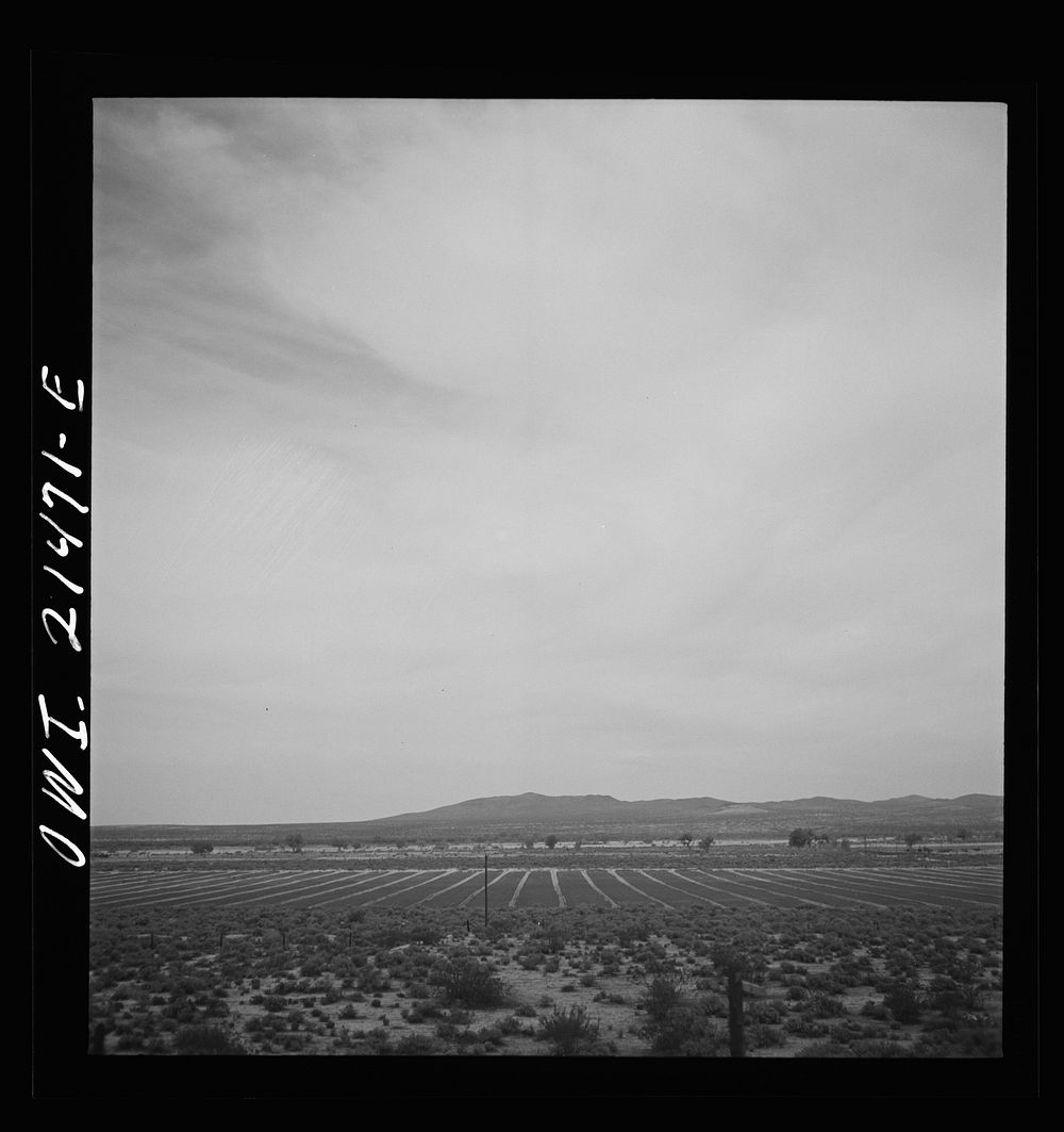 Barstow (vicinity), California. Cultivated fields along the Atchison, Topeka and Santa Fe Railroad between Barstow and San…