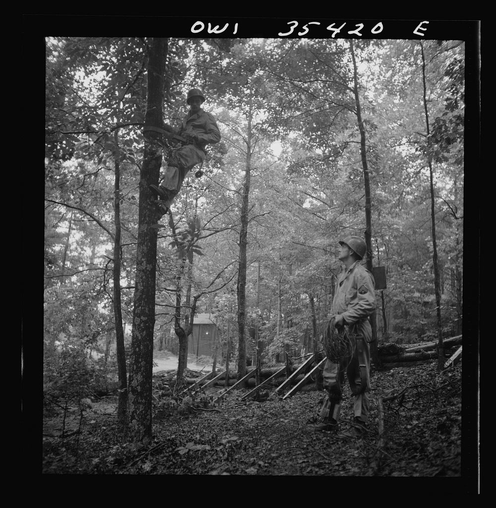 Greenville, South Carolina. Air Service Command. Men of the 1067th signal company of the 25th service group laying wire in a…