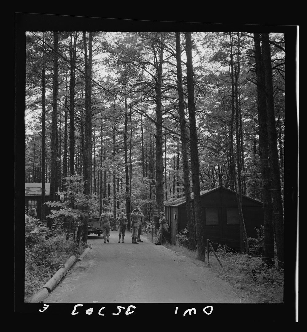 Greenville, South Carolina. Air Service Command. Wooded area in which most of the 25th service group is encamped. Sourced…