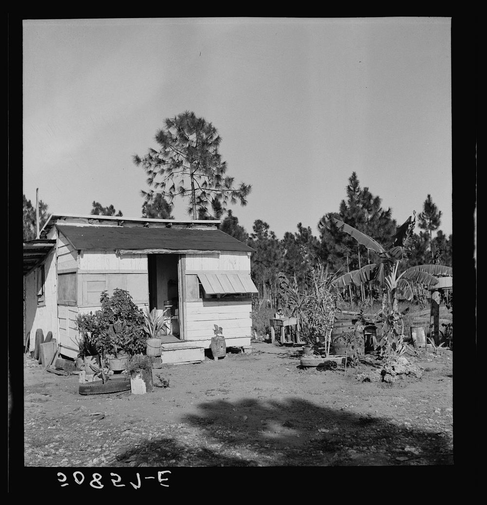 [Untitled photo, possibly related to: Old shack, formerly a field house, lived in by migrant agricultural laborer from…
